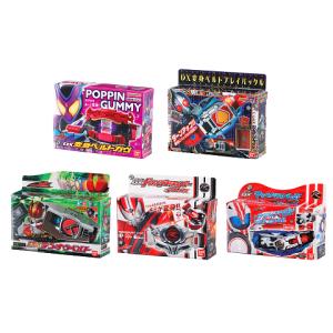 仮面ライダーシリーズ DXミニチュア＆パッケージコレクション01 全5種