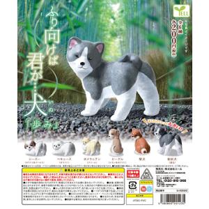 ふり向けば君が犬 歩み 全6種セット コンプ コンプリートセットの商品画像