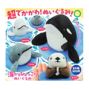 ブビィ ☆ [ポケモンカードe 基本拡張パック] 107/128 ポケモンカード