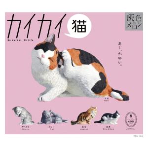 カイカイ猫 全5種セット コンプ コンプリートセット【2026年6月予約】