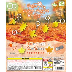 星の王子さま ねじるしますこっと 全4種セット コンプ コンプリート