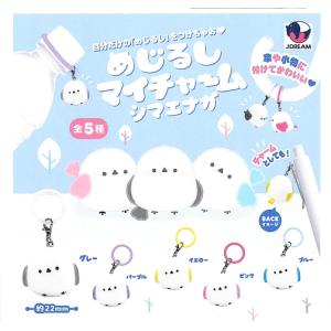BOX】 ポケモン ポケチャーム カラーマスコット 10個入り BOX 食玩