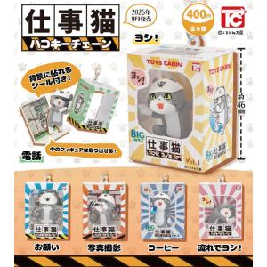 ポケモン おやすみフレンズ なかよくうとうと 全4種セット コンプ