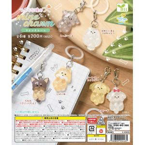 シュガーバニーズ アクリルキーホルダー 全5種セット コンプ