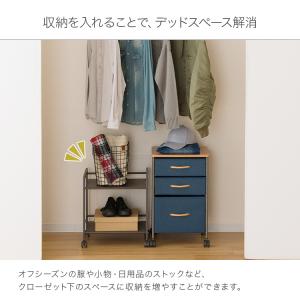 押入れ収納 幅43 2段 クローゼット収納 す...の詳細画像3