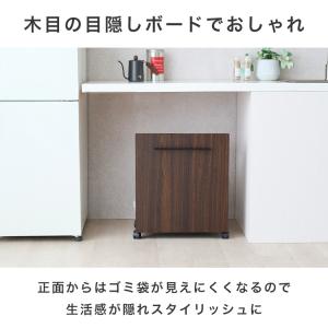 ★レジ袋を引っかけるだけ★ゴミ箱 ごみ箱 ゴミ...の詳細画像2