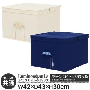 ファブリックボックス 布製 おしゃれ 便利 ファブリック 収納ケース 幅42 奥行45 高さ30 衣類収納 布製ケース アイボリー ネイビー LSB4243HNV LSB4243HIV
