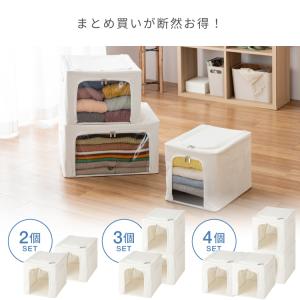 ルミナス Luminous 収納ボックス 収納...の詳細画像3