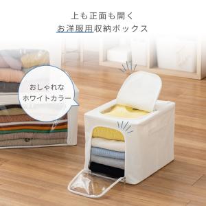 ルミナス Luminous 収納ボックス 収納...の詳細画像1