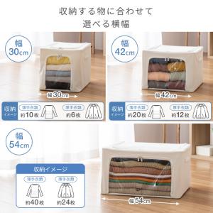 ルミナス Luminous 収納ボックス 収納...の詳細画像2
