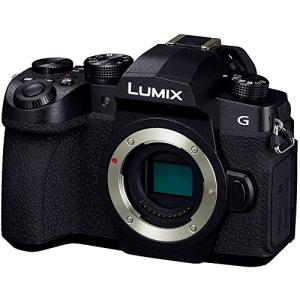 Panasonic（パナソニック） DC-G99DH-K LUMIX G99D ミラーレス一眼