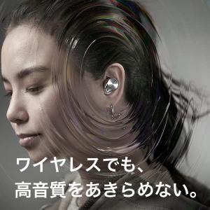 テクニクス フラッグシップモデル ノイズキャン...の詳細画像3