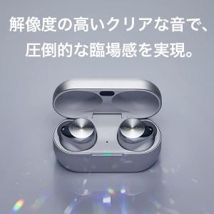 テクニクス フラッグシップモデル ノイズキャン...の詳細画像4