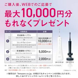 パナソニック 口腔洗浄器 ジェットウォッシャー...の詳細画像1
