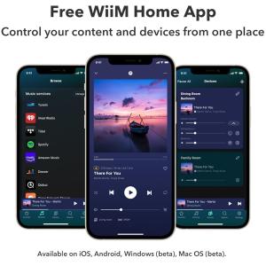 WiiM Amp:AirPlay 2、Chro...の詳細画像5