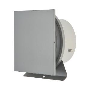 DS-100KBGUM