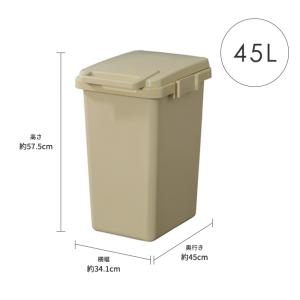 ゴミ箱 45リットル おしゃれ 屋外 分別 日...の詳細画像1