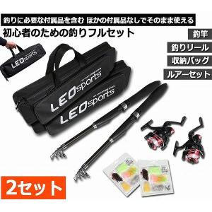 釣りセット 初心者 釣り道具 伸縮式釣竿2本＋スピニングリール2個