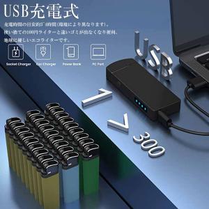 電子ライター プラズマ ライター usb ライ...の詳細画像3