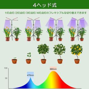 植物育成ライト LED植物育成灯 観葉植物 4...の詳細画像5
