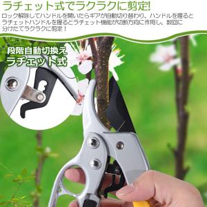 剪定ばさみ ラチェット式 剪定鋏 園芸用はさみ...の詳細画像4