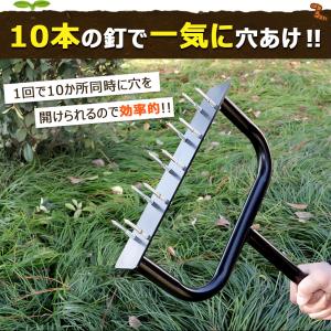 芝生 穴あけ エアレーション 10本釘 ローン...の詳細画像2