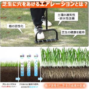 芝生 穴あけ エアレーション 10本釘 ローン...の詳細画像3