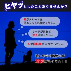 光る首輪 犬 点灯 首輪 光る led 散歩 ...の詳細画像2