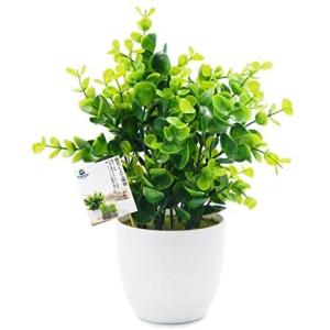 デスク 小さい 人工観葉 フェイクグリーン の商品一覧 花 ガーデニング 通販 Yahoo ショッピング