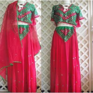 インド民族衣装 インドサリー シックカラー ボリウッド 結婚式 野外