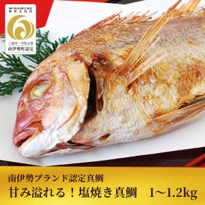 ＜ ＞祝い鯛 電子レンジで簡単 甘み溢れる塩焼き真鯛 １kg〜1.2kg