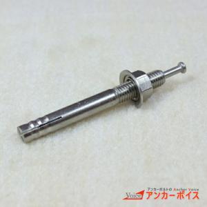 ユニカ アンカーボルト ステン ユニコンアンカーUCS-3030B 100本セット