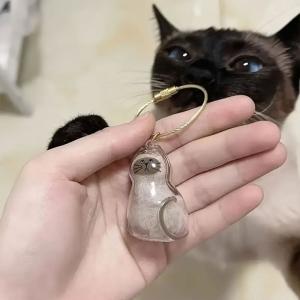 猫 メモリアルケース 6種類セット 毛 ヒゲ ...の詳細画像3