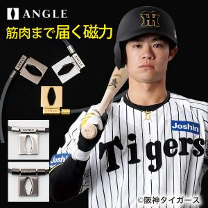 アングル e.モデル01 ネックレス WBC 代表選手着用 磁気ネックレス ANGLE 野球選手 スポーツ プラチナ ブラック 肩コリ 医療機器 岡田監督の商品画像