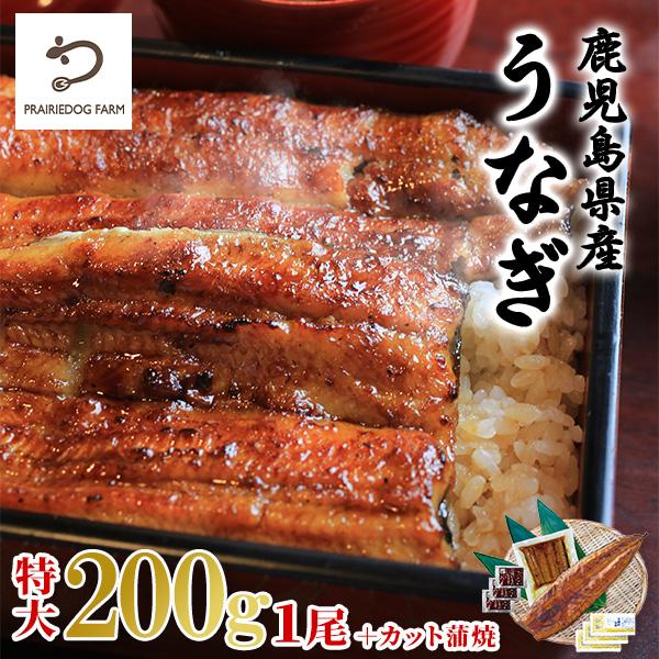特大 国産 うなぎ (蒲焼き200g×1尾・カット80g×1) 鹿児島県産 うなぎ蒲焼セット PFU...