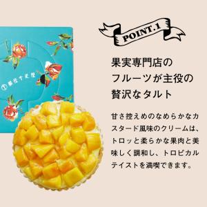 お中元 銀座千疋屋 銀座タルト マンゴー PG...の詳細画像2