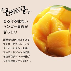 お中元 銀座千疋屋 銀座タルト マンゴー PG...の詳細画像3