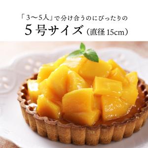 お中元 銀座千疋屋 銀座タルト マンゴー PG...の詳細画像4