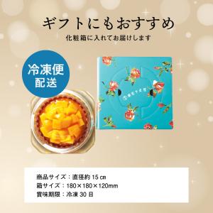 お中元 銀座千疋屋 銀座タルト マンゴー PG...の詳細画像5