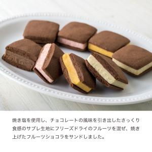 銀座千疋屋 銀座焼きショコラサブレ PGS-2...の詳細画像2