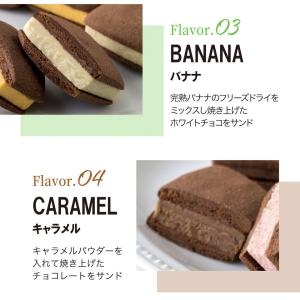 銀座千疋屋 銀座焼きショコラサブレ PGS-2...の詳細画像4