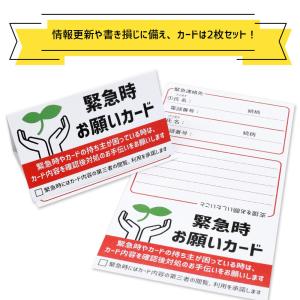 緊急時お願いカード カラビナ付カードケースセッ...の詳細画像3