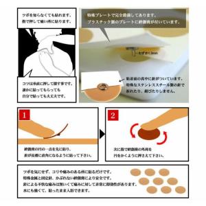 神洲 ひ鍼 30針入り 1箱 日本薬興 合計30針の詳細画像3