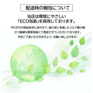 神洲 ひ鍼 30針入り 1箱 日本薬興 合計30針の詳細画像4