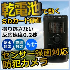 防犯カメラ ＳＤカード録画 トレイルカメラ 乾電池式　ANDA-01TR