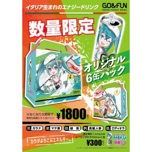 GO&FUN ゴーアンドファン レーシングミク 2025 RACING MIKU Ver
