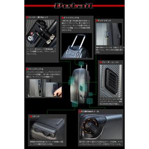 プロテックスレーシング(PROTEX RACI...の詳細画像1