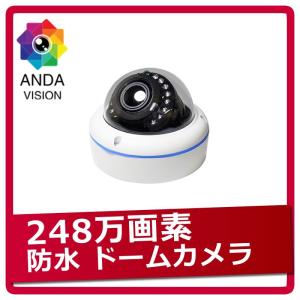 防犯カメラ  屋内屋外 両用  ドームカメラ  1080p AHD 248万画素｜andavision
