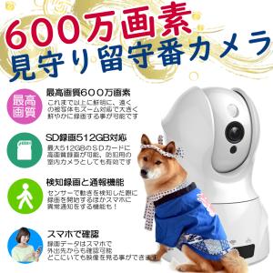 移動するお留守番カメラilboイルボ「専用充電器セット」（送料無料 お