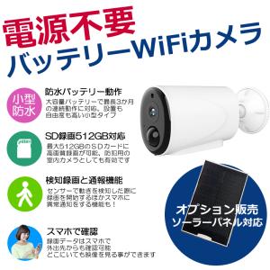 MT-WCM300専用 増設カメラ MTW-INC300IR 防犯カメラ マザーツール
